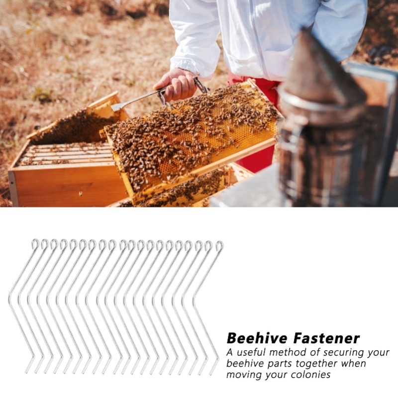 20PCS Stainless Steel Beehive  - Woodworking Joint Types review and price
